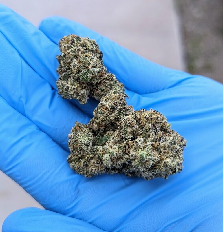 Afghan Kush cannabis flower